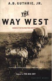 Western Novel
